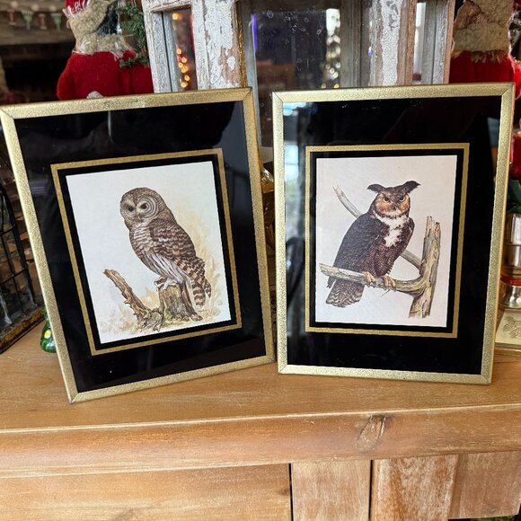 1971 Reverse paint Owl pictures - Picture 3 of 14